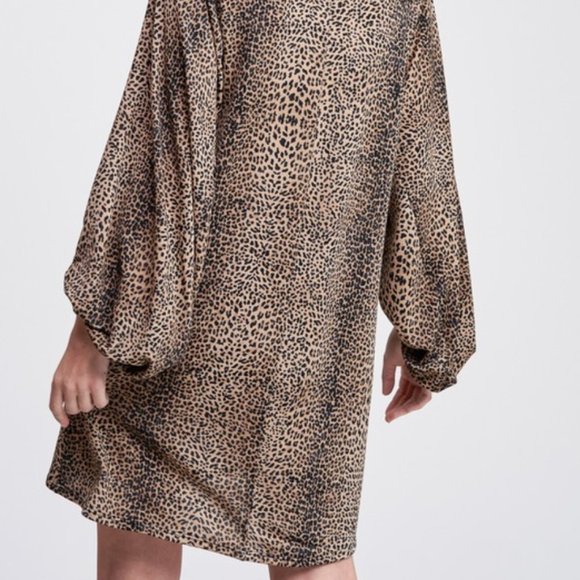 Wild Life Cheetah Print Dress - Picture 3 of 3